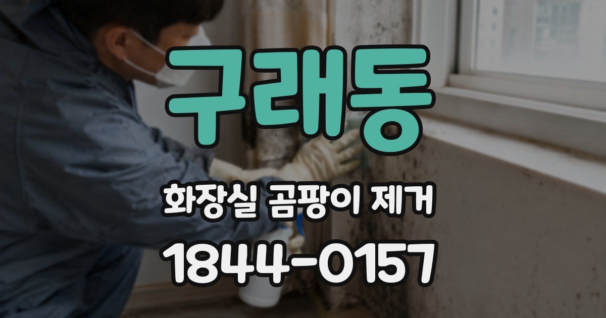 구래동 화장실 곰팡이 제거
