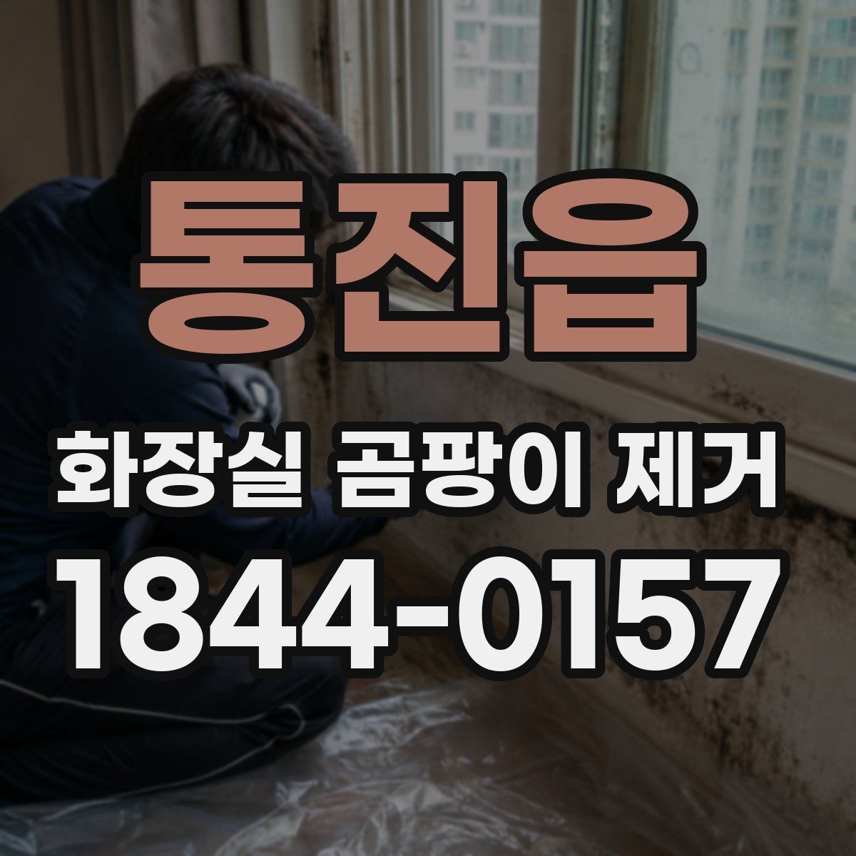 통진읍 화장실 곰팡이 제거