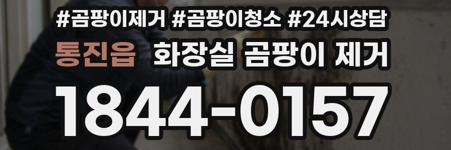통진읍 화장실 곰팡이 제거