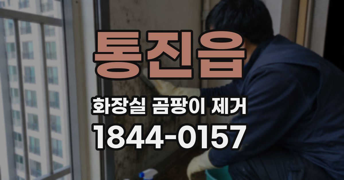 통진읍 화장실 곰팡이 제거