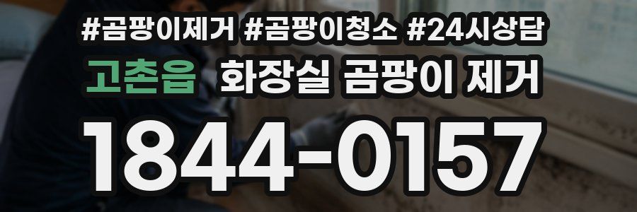 고촌읍 화장실 곰팡이 제거