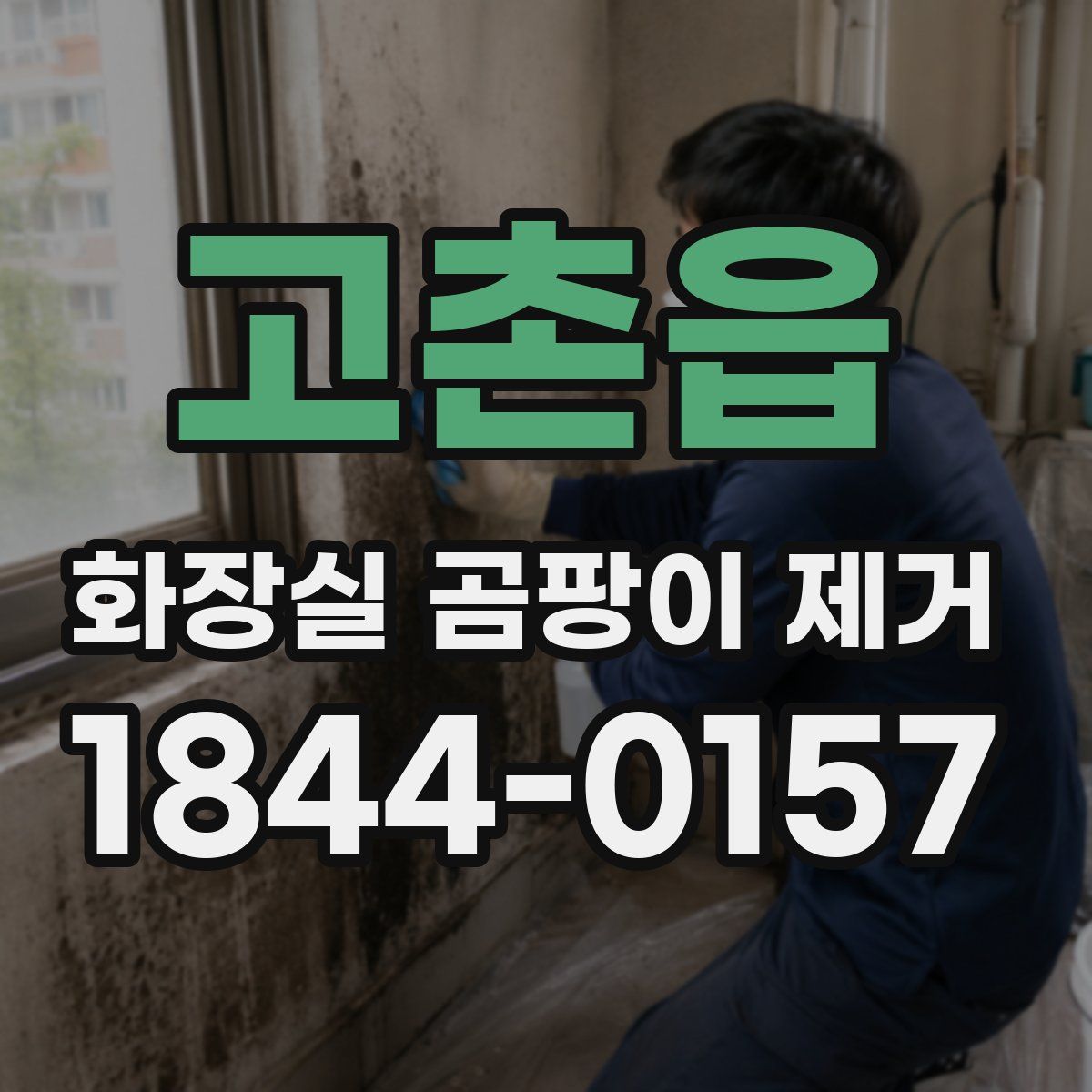 고촌읍 화장실 곰팡이 제거