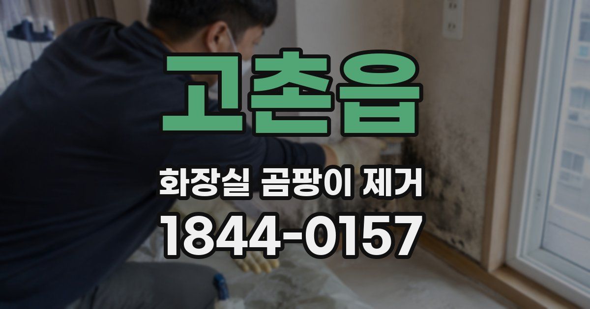고촌읍 화장실 곰팡이 제거
