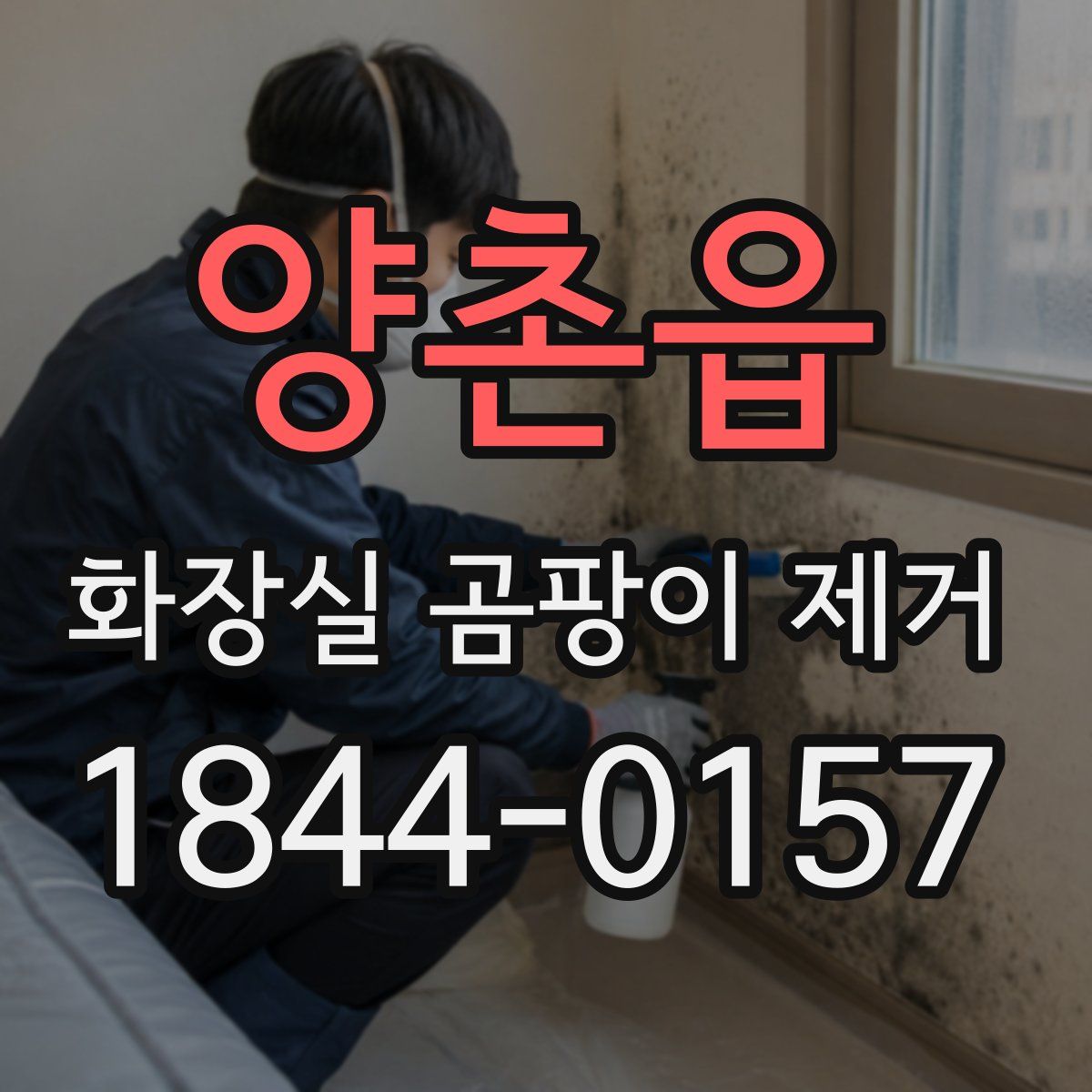 양촌읍 화장실 곰팡이 제거
