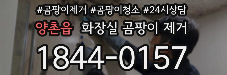양촌읍 화장실 곰팡이 제거