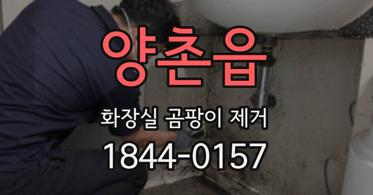 양촌읍 화장실 곰팡이 제거
