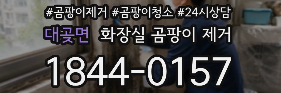 대곶면 화장실 곰팡이 제거