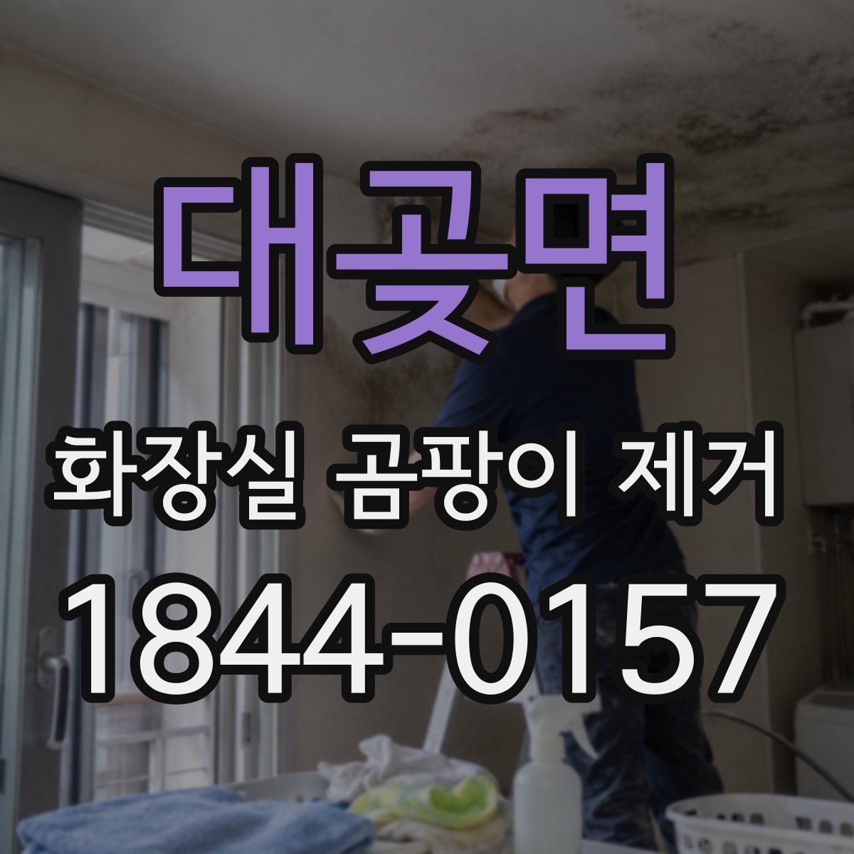 대곶면 화장실 곰팡이 제거