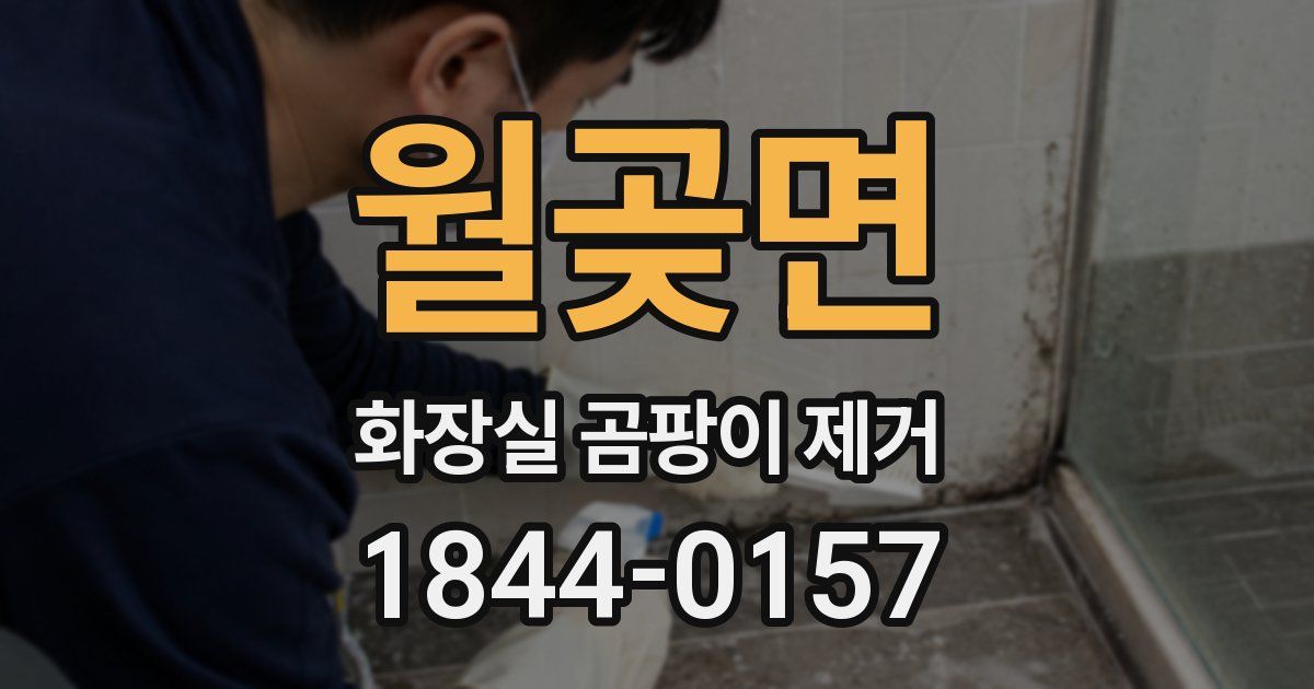 월곶면 화장실 곰팡이 제거