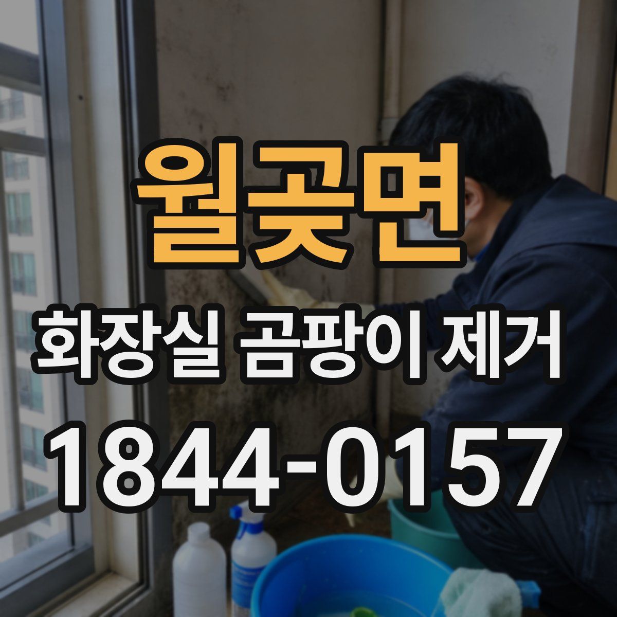 월곶면 화장실 곰팡이 제거