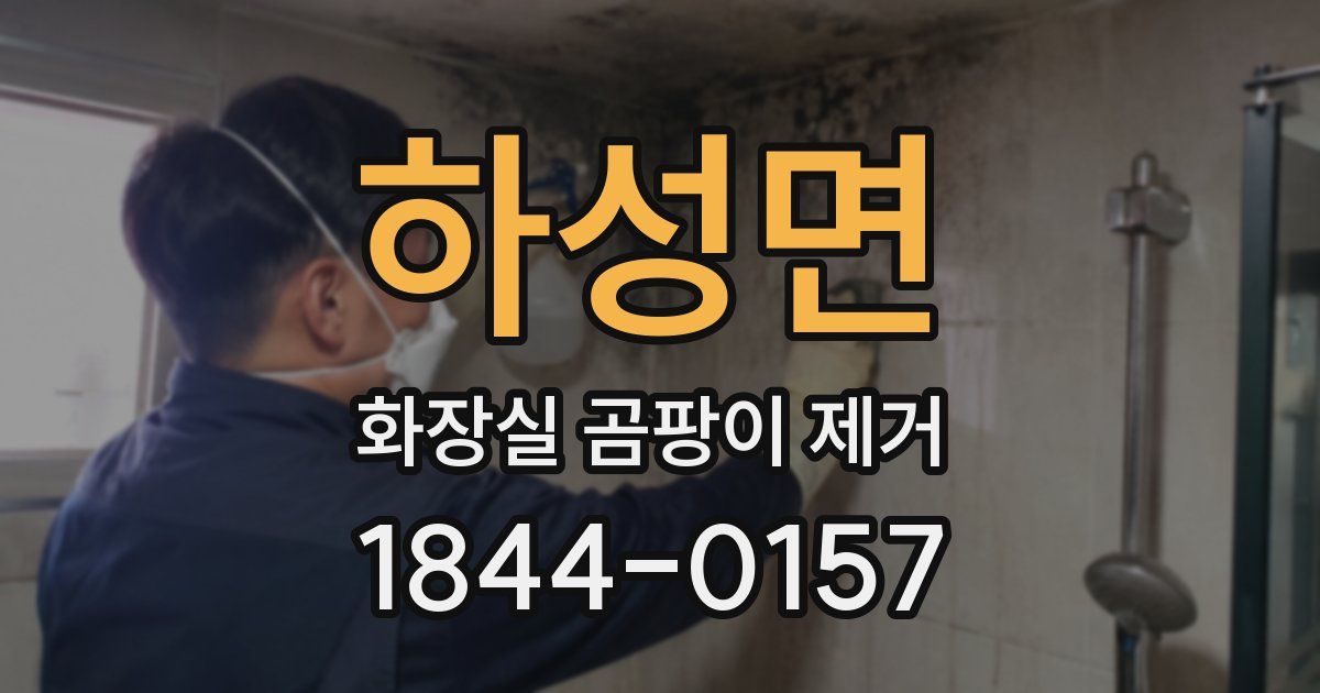하성면 화장실 곰팡이 제거