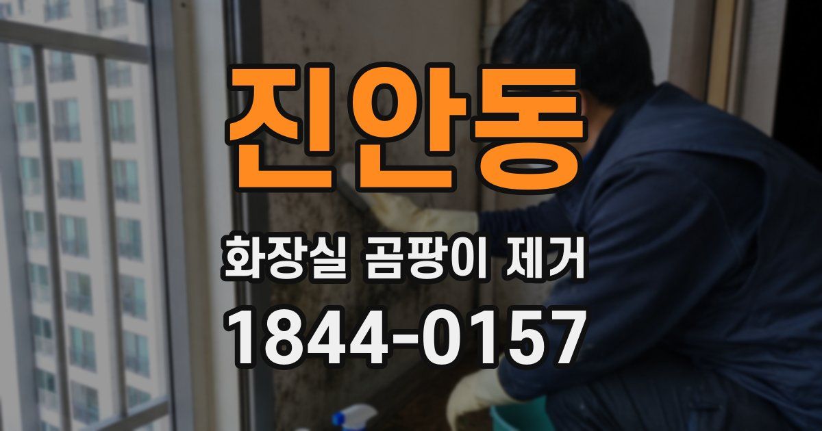 진안동 화장실 곰팡이 제거