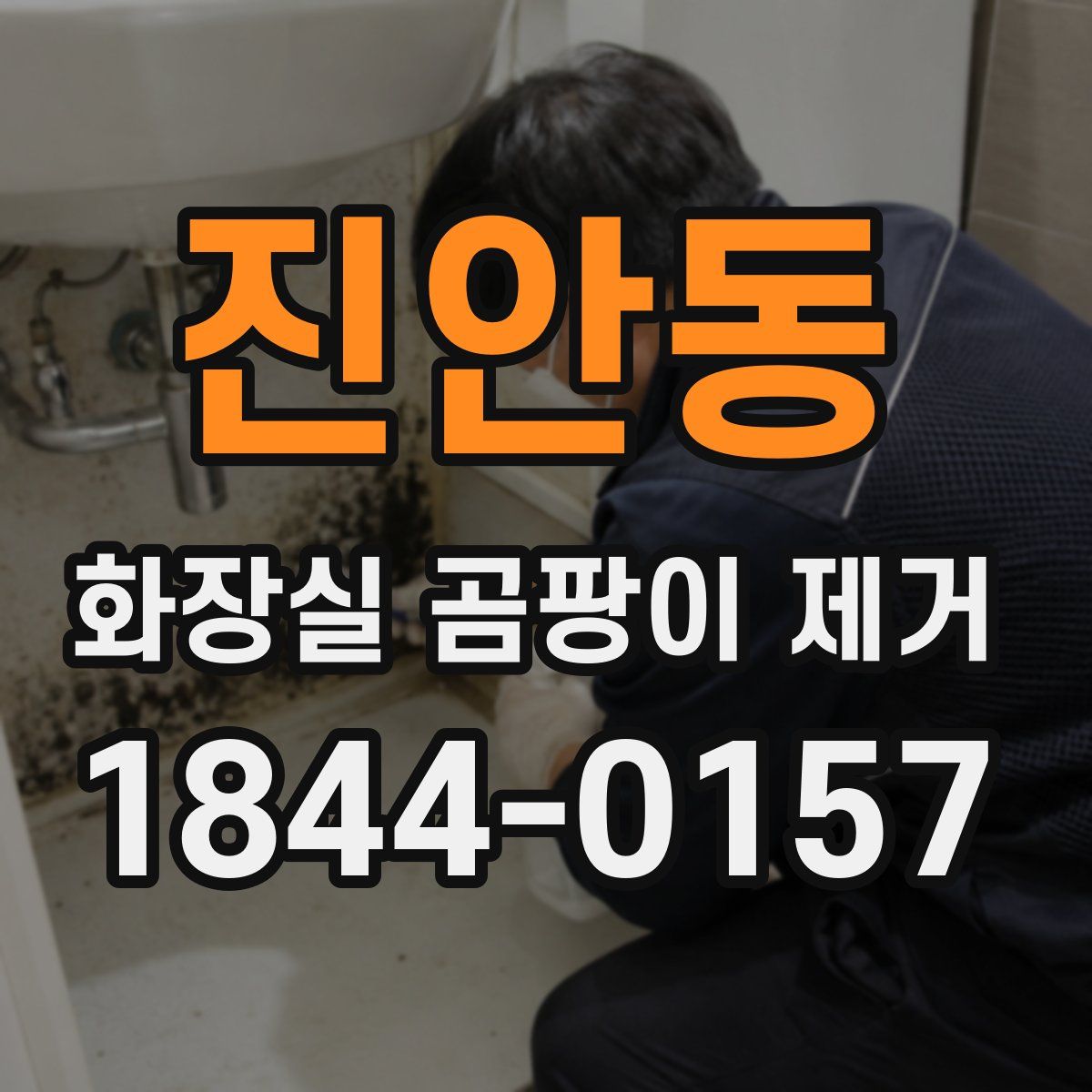 진안동 화장실 곰팡이 제거