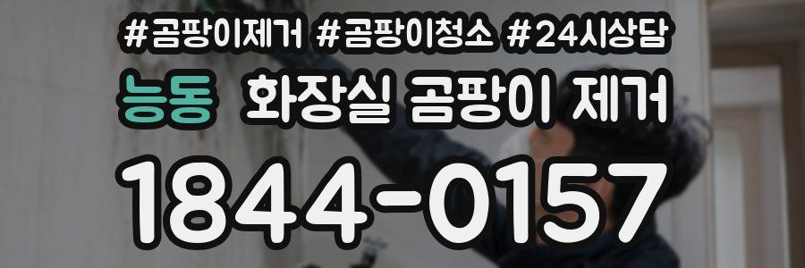 능동 화장실 곰팡이 제거