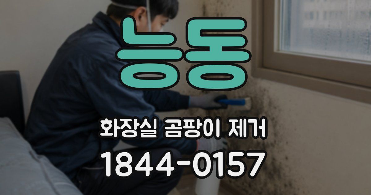 능동 화장실 곰팡이 제거