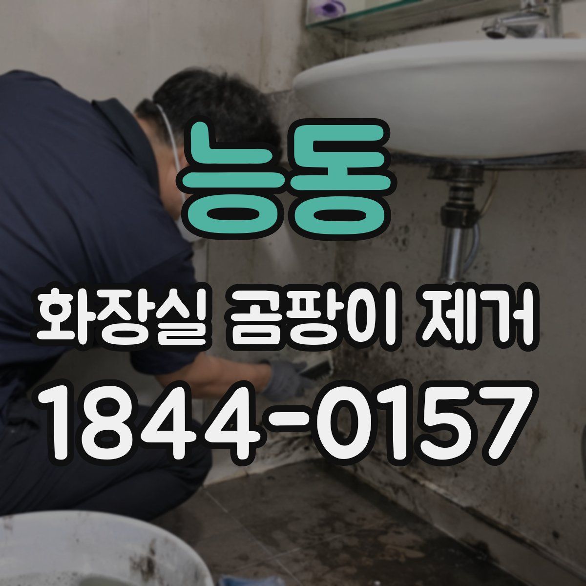 능동 화장실 곰팡이 제거