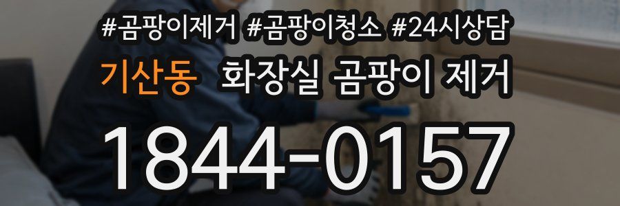 기산동 화장실 곰팡이 제거