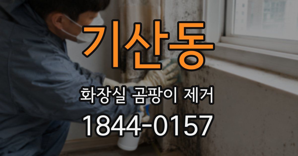 기산동 화장실 곰팡이 제거