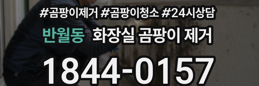 반월동 화장실 곰팡이 제거
