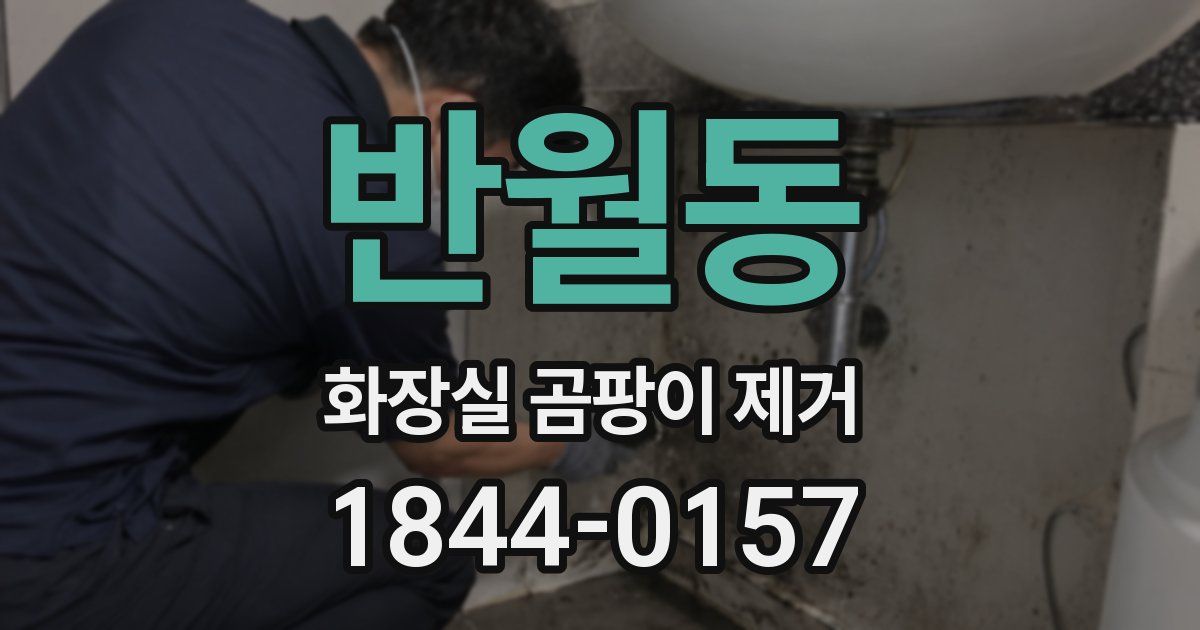반월동 화장실 곰팡이 제거