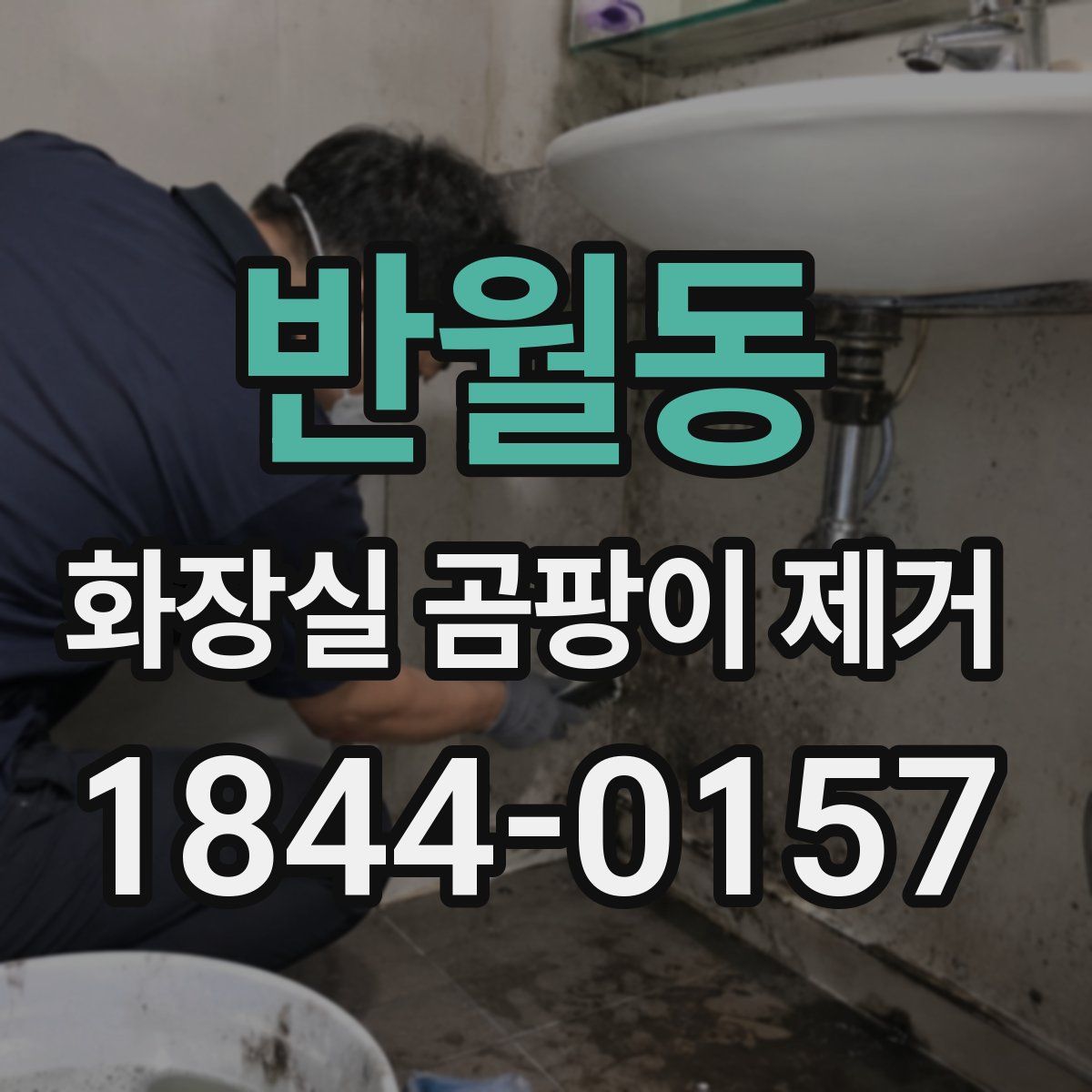 반월동 화장실 곰팡이 제거