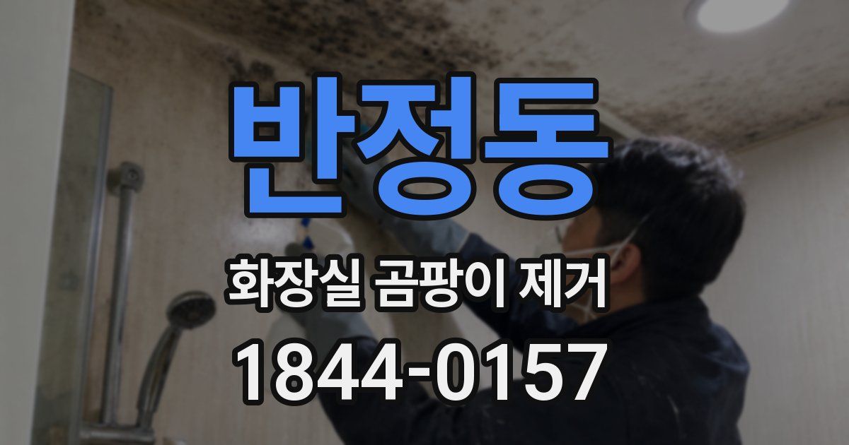 반정동 화장실 곰팡이 제거