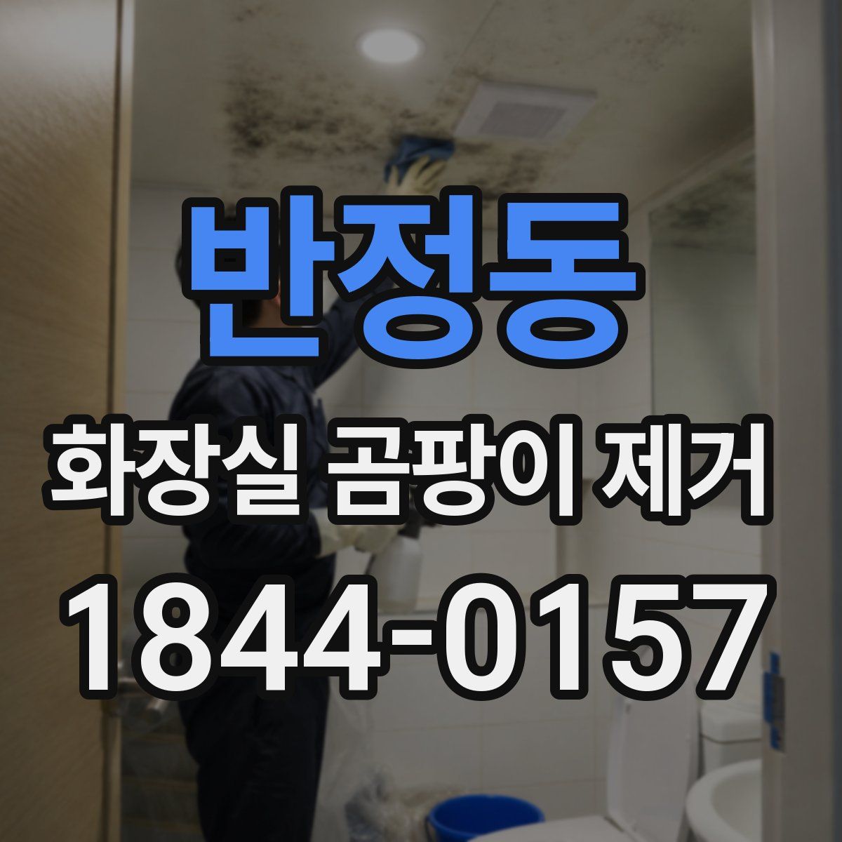 반정동 화장실 곰팡이 제거