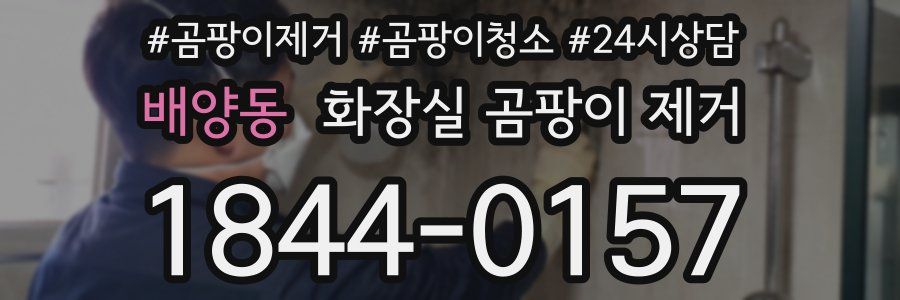 배양동 화장실 곰팡이 제거