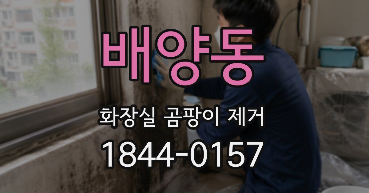 배양동 화장실 곰팡이 제거