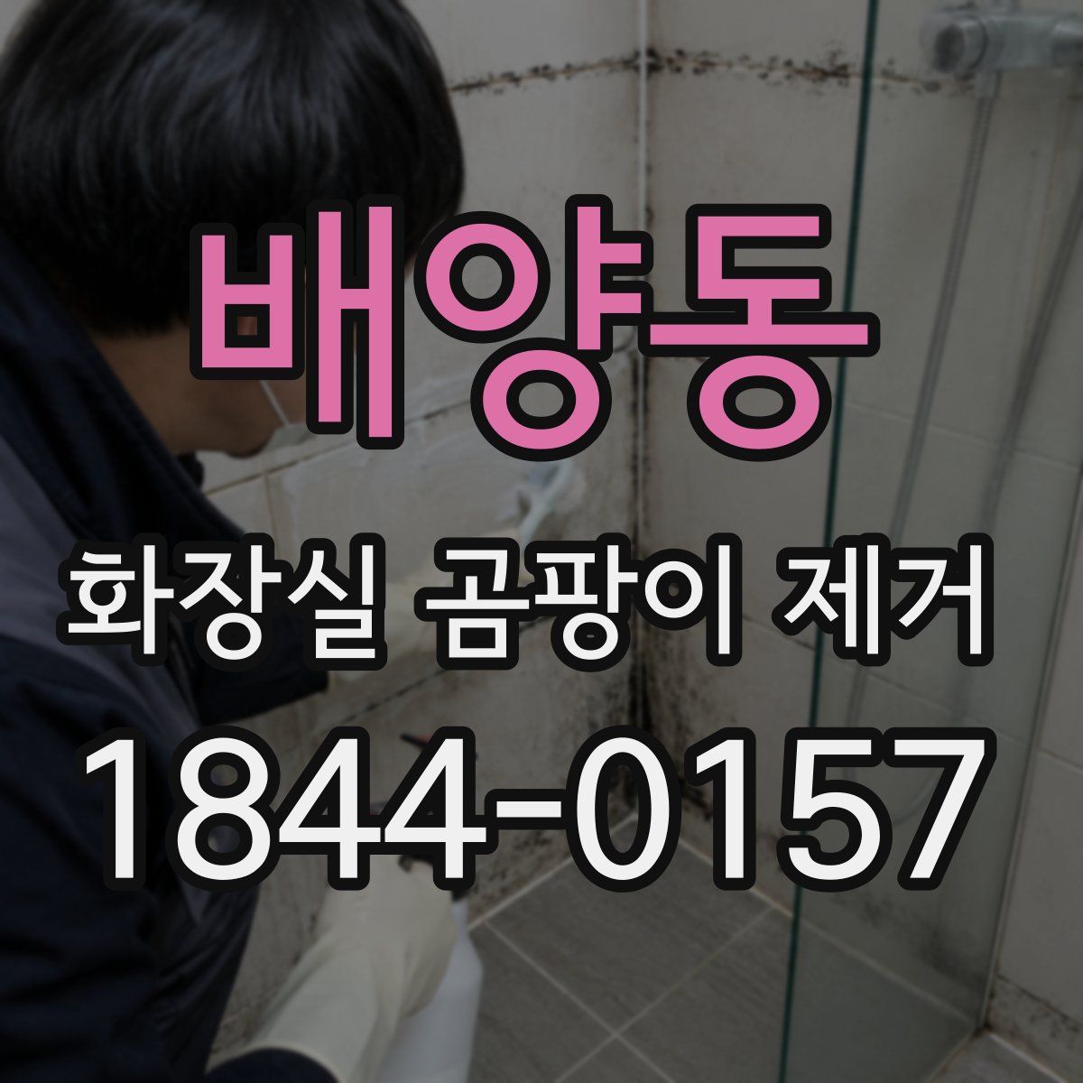 배양동 화장실 곰팡이 제거