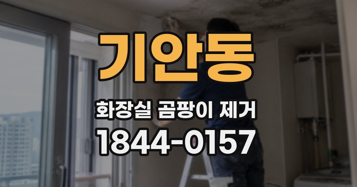 기안동 화장실 곰팡이 제거