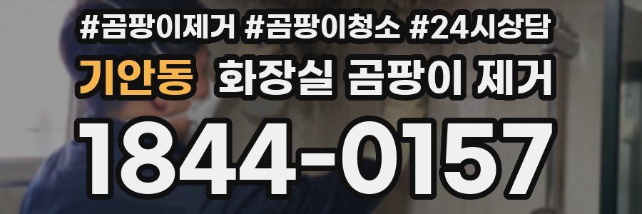 기안동 화장실 곰팡이 제거
