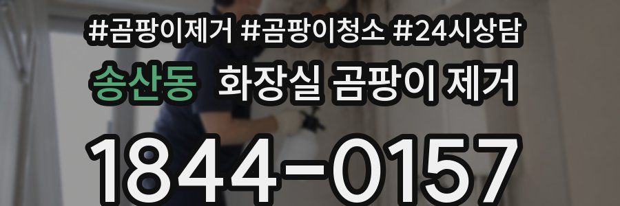 송산동 화장실 곰팡이 제거