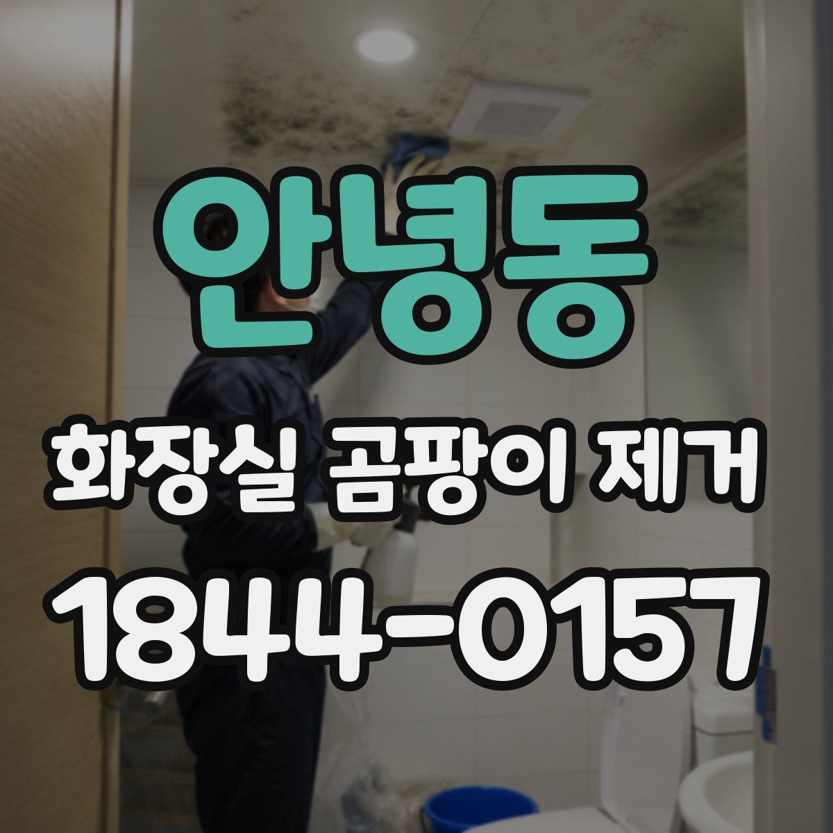 안녕동 화장실 곰팡이 제거