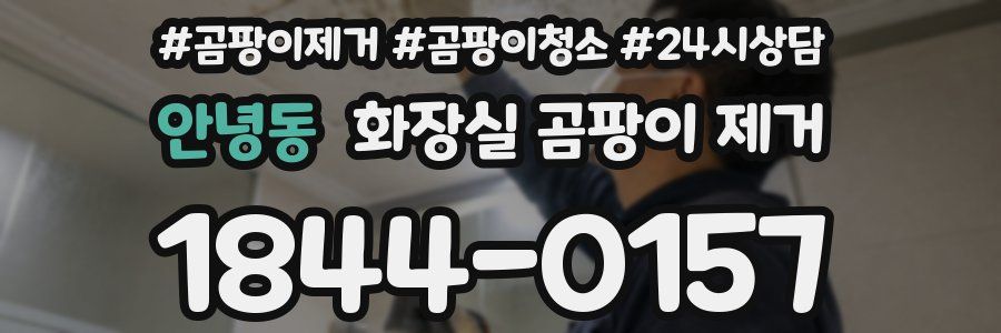 안녕동 화장실 곰팡이 제거