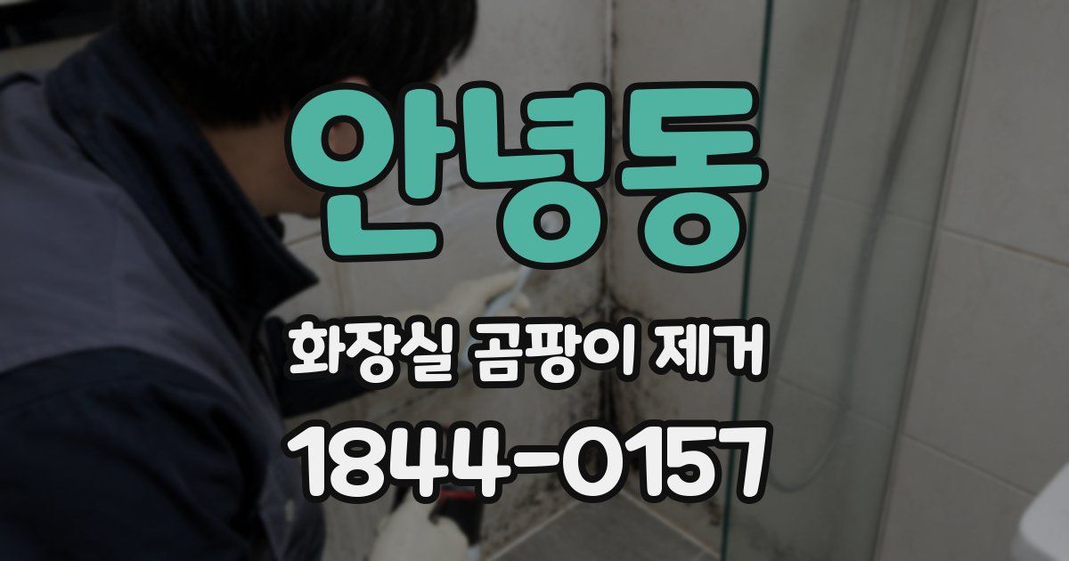 안녕동 화장실 곰팡이 제거