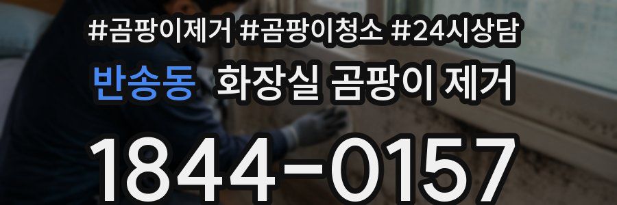 반송동 화장실 곰팡이 제거