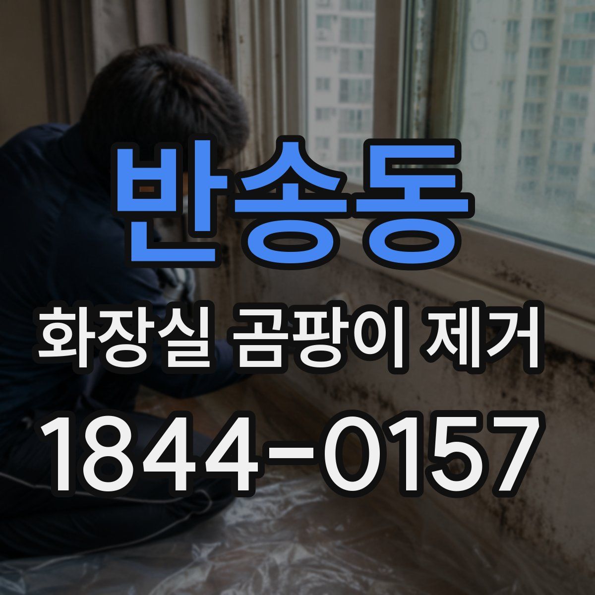 반송동 화장실 곰팡이 제거
