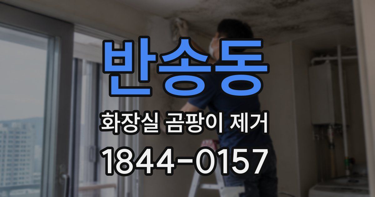 반송동 화장실 곰팡이 제거