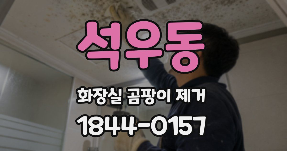 석우동 화장실 곰팡이 제거