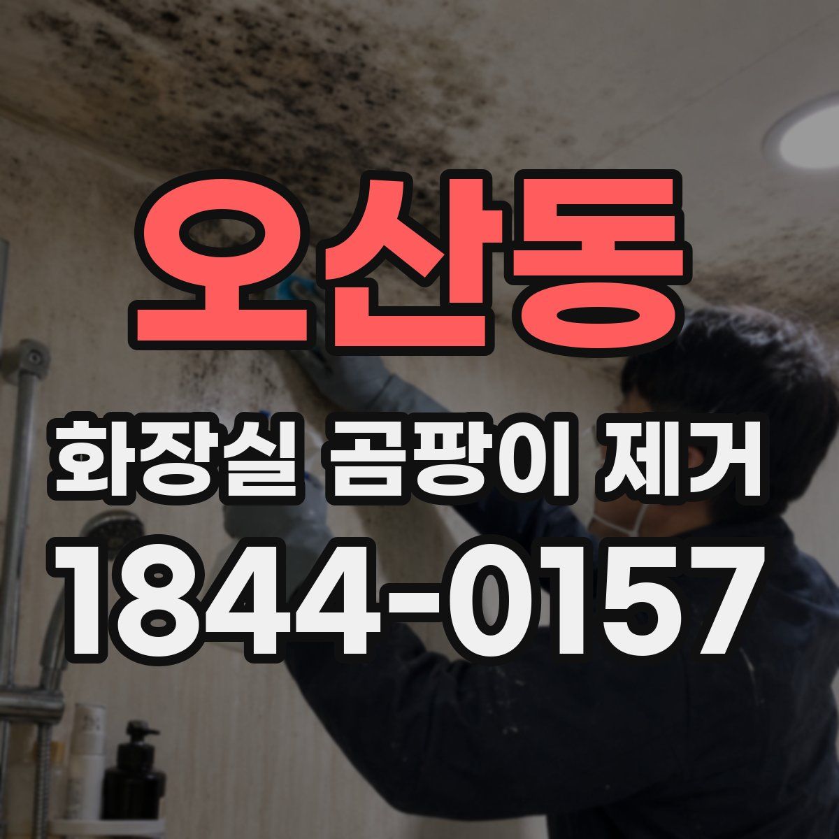 오산동 화장실 곰팡이 제거