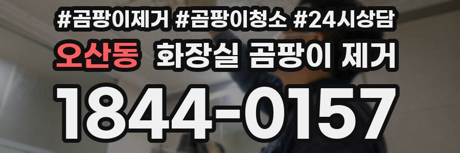오산동 화장실 곰팡이 제거