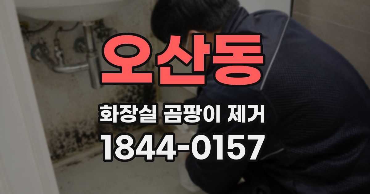 오산동 화장실 곰팡이 제거