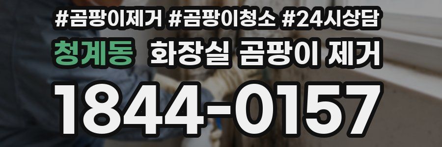 청계동 화장실 곰팡이 제거