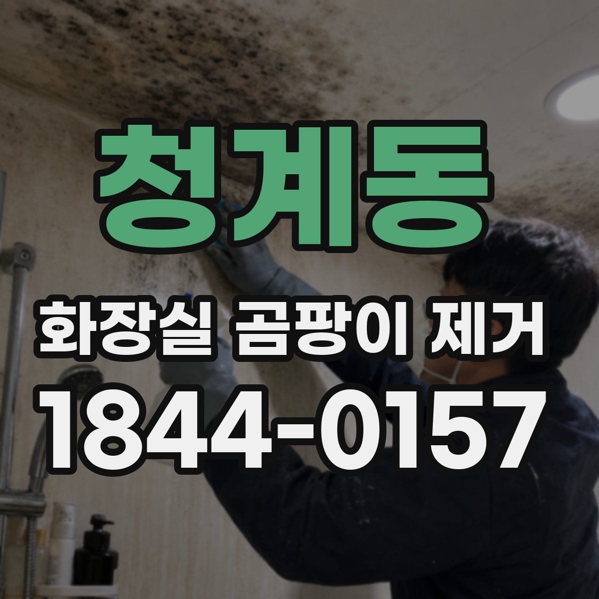 청계동 화장실 곰팡이 제거