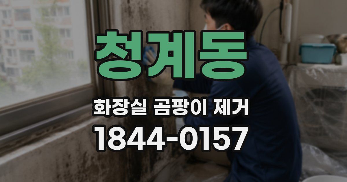 청계동 화장실 곰팡이 제거