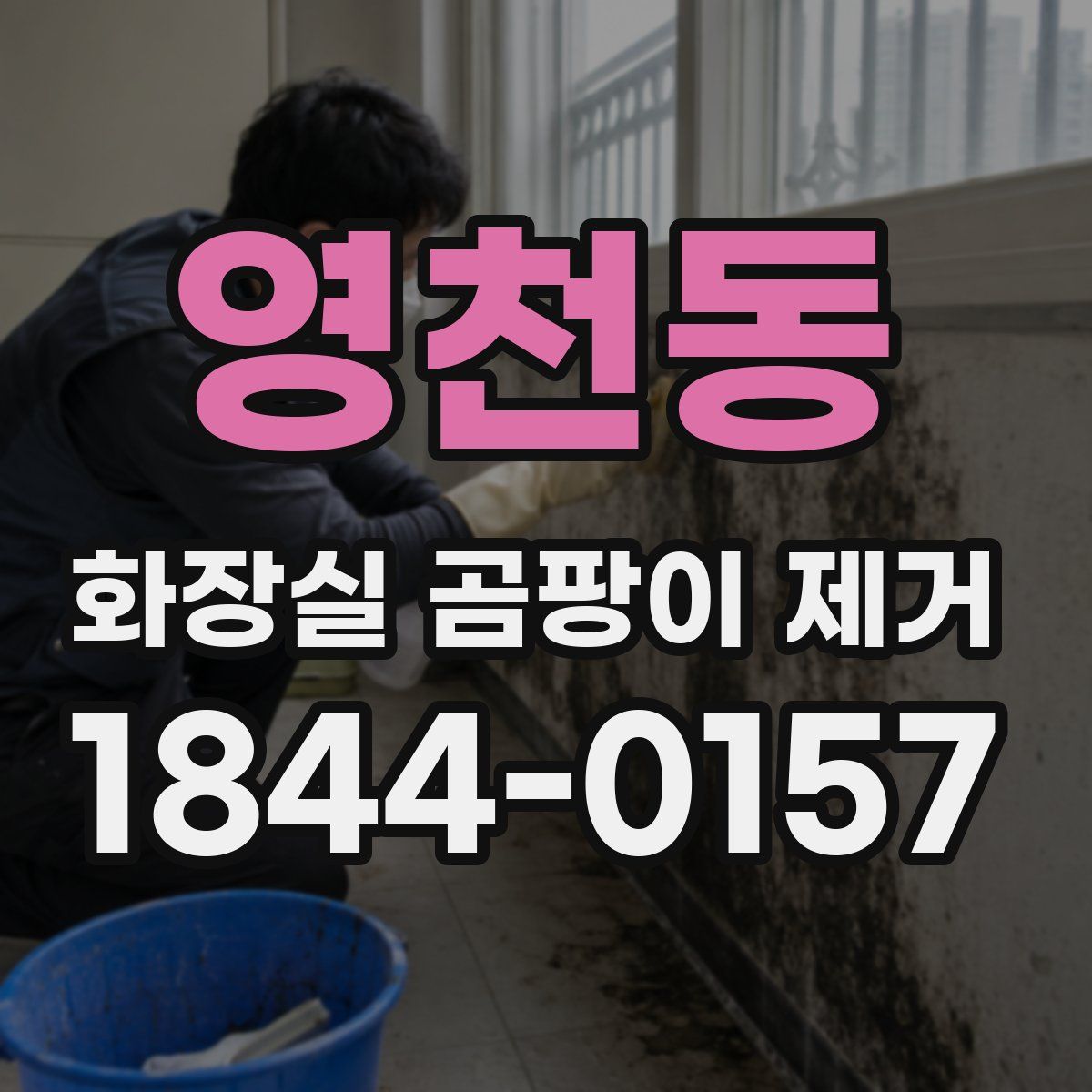 영천동 화장실 곰팡이 제거