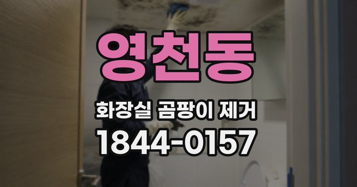 영천동 화장실 곰팡이 제거