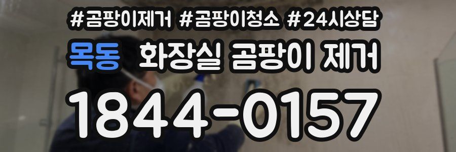 목동 화장실 곰팡이 제거