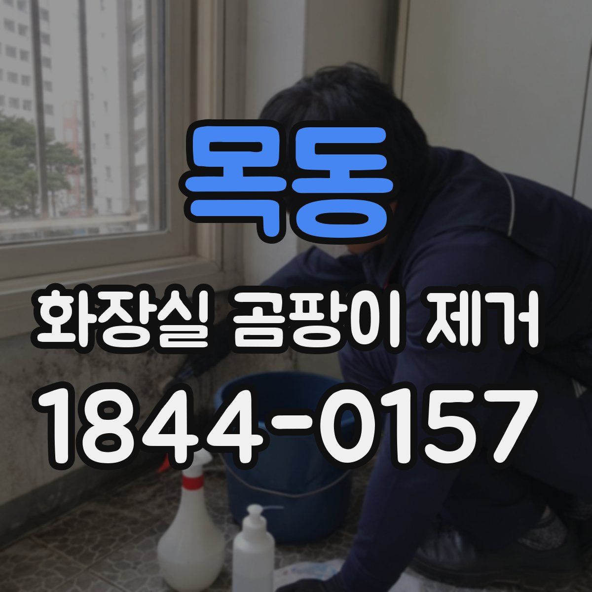 목동 화장실 곰팡이 제거